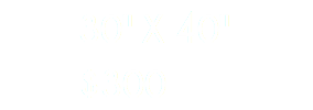  30" X 40"  $300